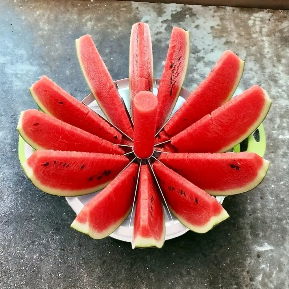 Slicer 🔎 Rare Find Elegant Lucite and Stainless Steel Pie Melon Farmhouse HP 🍭